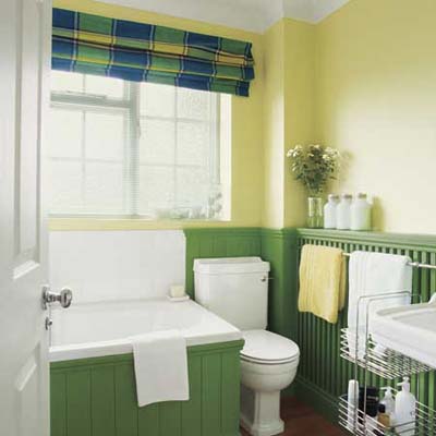 Bathroom Ideas Paint