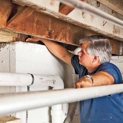 contractor checks for termites