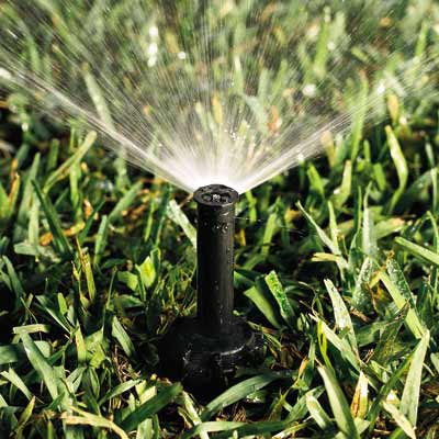sprinkler watering grass
