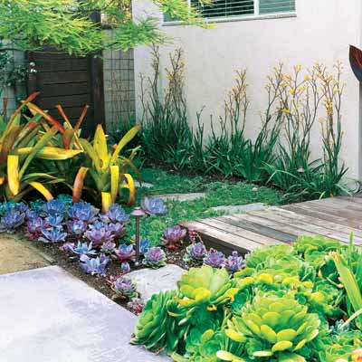 outdoor landscaping with lush perennials