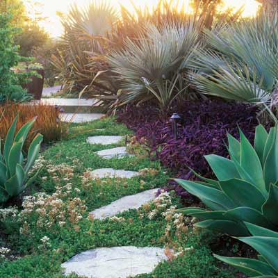 stone stepping stones in garden