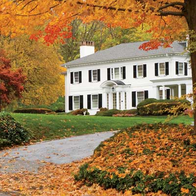  Interior Design Schools on Add Fiery Autumn Foliage   10 Best Trees And Shrubs For Fall Color