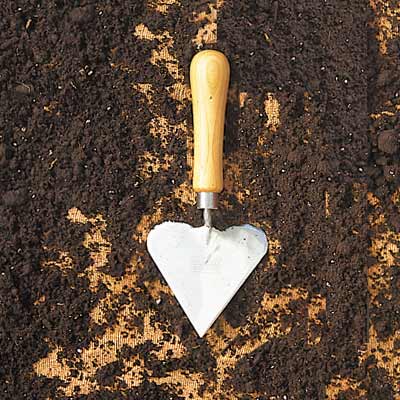 spade trowel