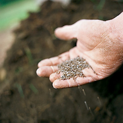 man sprinkling fertilizer in hole for spring bulbs