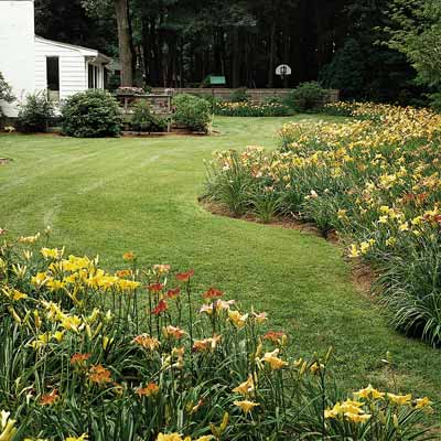 yard with spring blooms