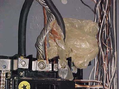 home inspection photo of plastic bag wrapped around service-entrance cables of electrical panel