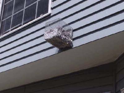 home inspection photo of screened dryer vent filled with lint
