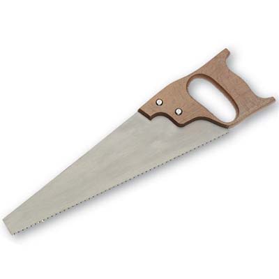Kid's Saw