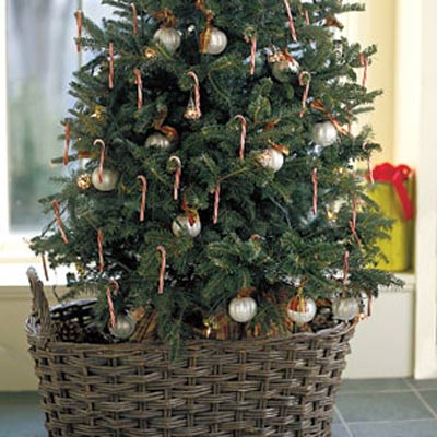 Tabletop candy cane tree
