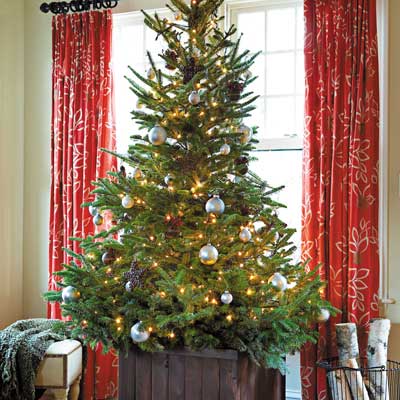 classsic Christmas tree