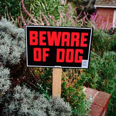 house with beware of dog sign