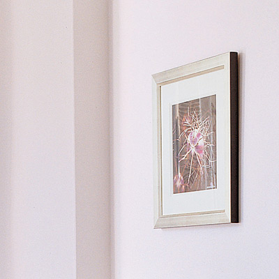 living room with pale walls