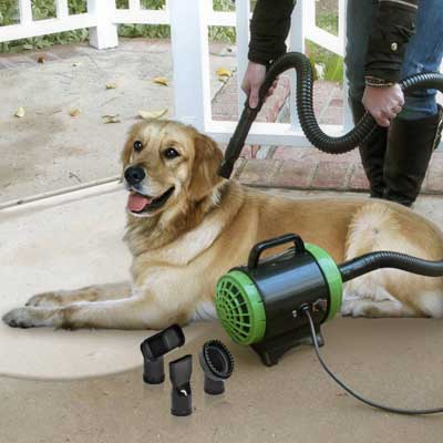 Professional pet grooming tool with dryer