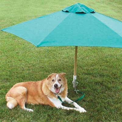 Yard umbrella to shade pets