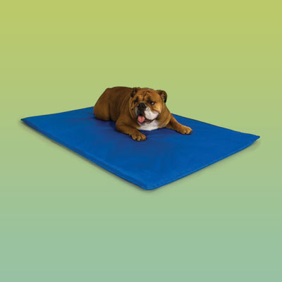 Blue pet bed with cooling function