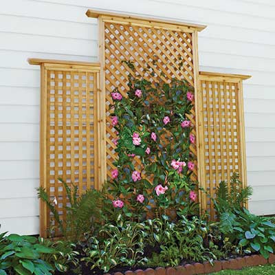 Lattice Trellis 19 Beautiful Backyard Building Projects This ...