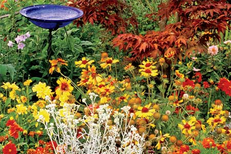 marigolds, asters, zinnias, and dusty miller in late summer