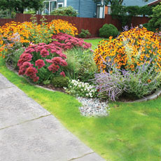 Completed rain garden irrigation system