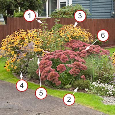 rain garden for flower lovers with plants notated
