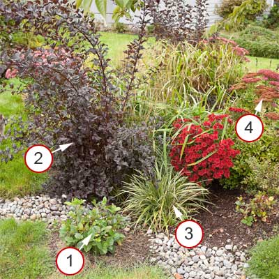 symetrical rain garden with plants notated