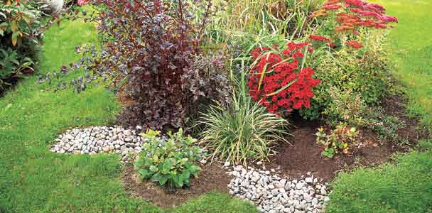 Plans and Plants for Rain Gardens