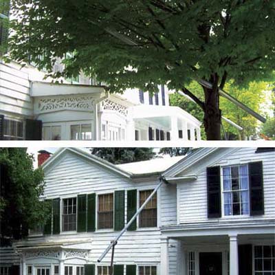 downspouts extended in the extreme