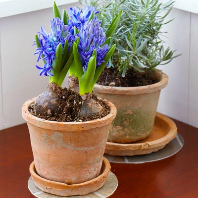 vinyl tile used as plant coasters for indoor potted plants