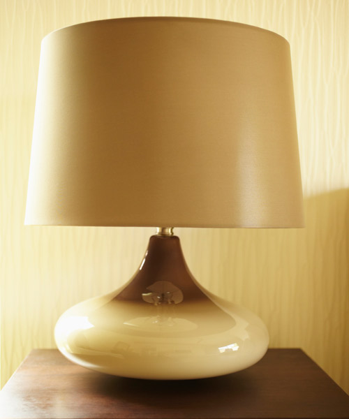 plain lampshade and lamp