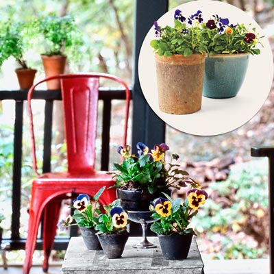 a porch with inset of planting pots
