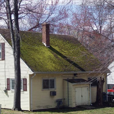 a roof covered with green moss