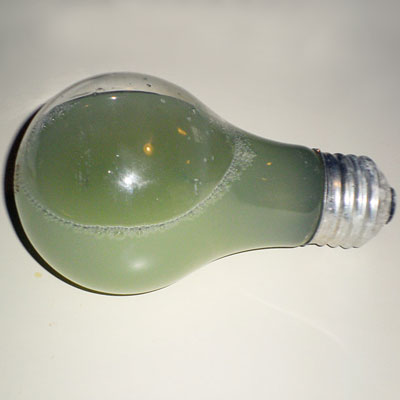 a water-filled light bulb