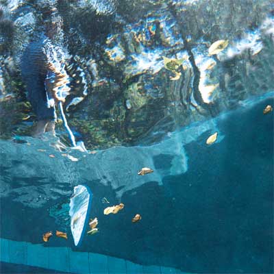 Keep Your Pool in Tip-Top Shape to Turn Your Home Into a Staycation Resort