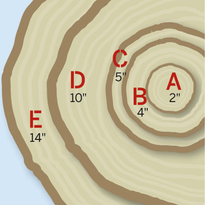 diagram Choose your pruning tool based on the diameter of the branch this old house tested tools