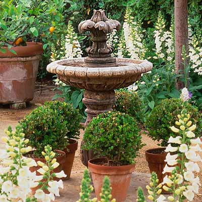 cottage garden with path of decomposed granite, foxglove, boxwood globes and a tiered fountain