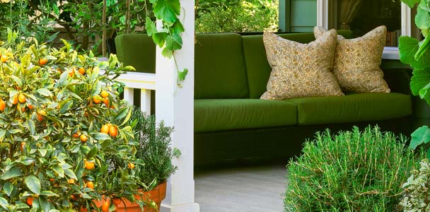 cottage garden with climbing roses, leafy grapevines climbing porch posts, pots of kumquat and rosemary
