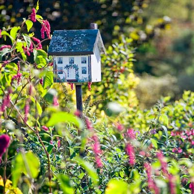 birdhouse with winterberry in bird garden in autumn garden 