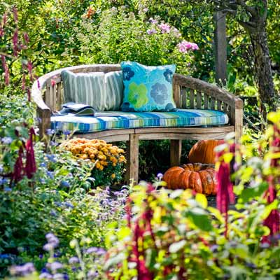 Kiss-me-over-the-garden-gate (Polygonum oriental) flowering amaranth, and ageratum by bench in the bird garden with winterberry in autumn garden