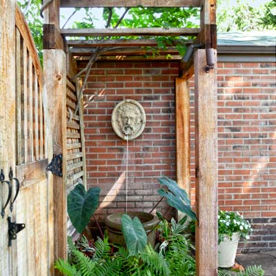 wall fountain with gates, colocasia, ferns 