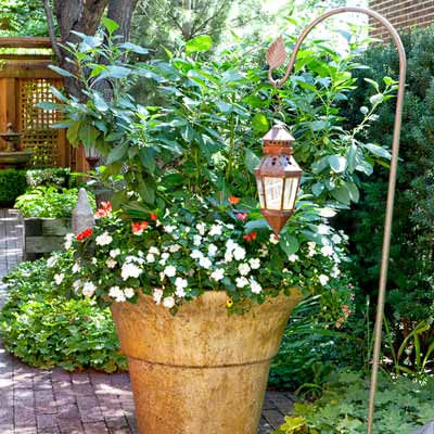 side garden with ground-covering Geranium biokovo, potted annual phygelius, impatiens, begonias