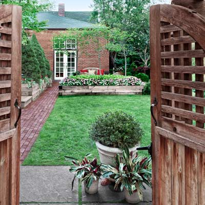 pots hold clipped boxwood and Calathea triostar at yard entry