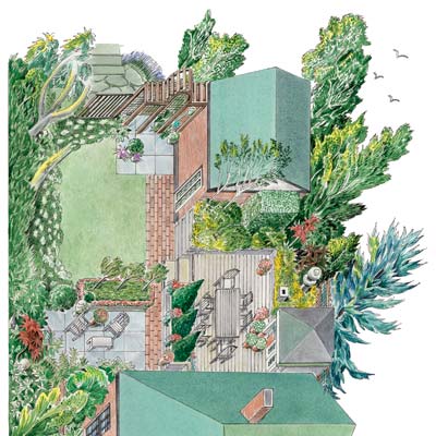 landscaping illustration plan back yard 