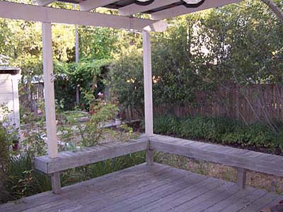 Austin House Project - back yard