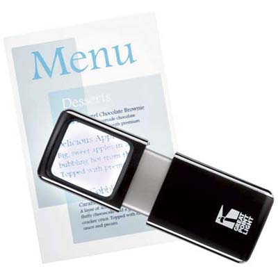 Magnifier with LED light from the Container Store