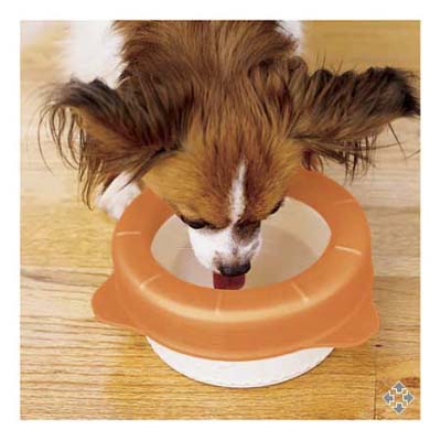 Splash-resistant dog bowl
