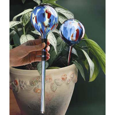 Glass watering bulb from Lee Valley