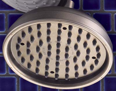 vintage-style showerhead