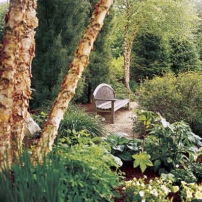 bench in garden with trees