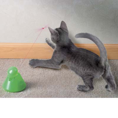laser pointer for cats to chase