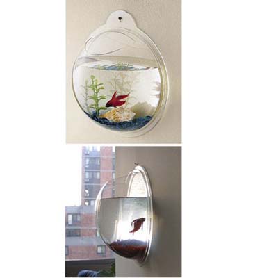 hanging fishpod a fresh water tank for fishes