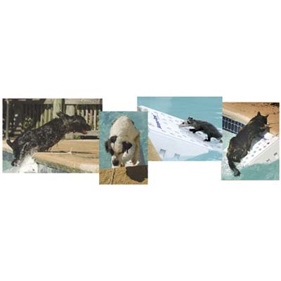 skamper ramp for the pets near water pools